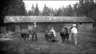 Svensk folkmusik  Låt Till Far [upl. by Nordna]