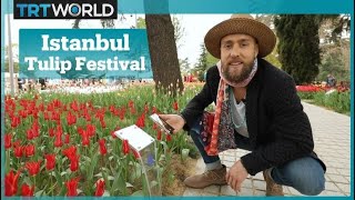 Istanbuls International Tulip Festival [upl. by Nealah976]