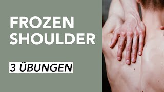 Übungen für Schulterschmerzen bei Frozen Shoulder  Liebscher amp Bracht [upl. by Nesto]