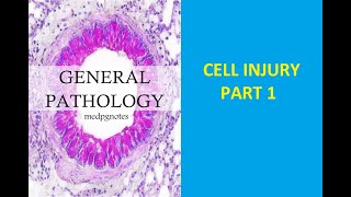 GENERAL PATHOLOGY II CHAPTER 2 II CELL INJURY II PART 1 II ROBBINS PATHOLOGY [upl. by Peckham680]