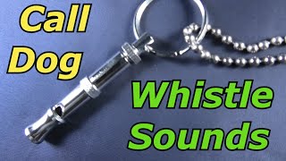 Dog Whistle Sound to Call Dog [upl. by Alverta]