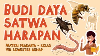 BUDI DAYA SATWA HARAPAN  MATERI PRAKARYA BUDI DAYA KELAS 8 SEMESTER GENAP [upl. by Noami]