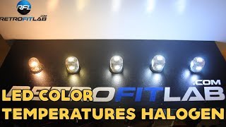 Led color temperatures halogen 3000K 4300K 6000K 8000K T10 bulb [upl. by Harrell320]