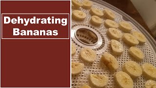 How to Dehydrate Bananas in a Food Dehydrator  Dehydrating Bananas for Long Term Food Storage [upl. by Desimone]