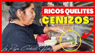 COCINANDO QUELITES GASTRONOMÍA MEXICANA [upl. by Eema]