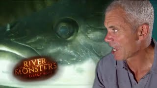 Jeremy Wade Scarred By Arapaima Attack  ARAPAIMA  River Monsters [upl. by Helmer]