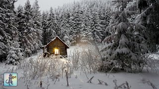 Relaxing Snowfall Woodland Cabin  The Best Relax Music [upl. by Eenaj]