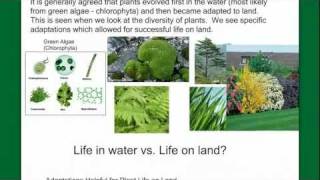 Introduction to Plant Diversity [upl. by Ateikan197]