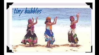 Tiny Bubbles Hawaiian Dance [upl. by Boone423]