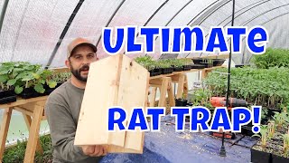 No More Rats Easy Homemade Rat Trap [upl. by Aserehs]