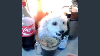 Fernet Con Coca [upl. by Terrence798]