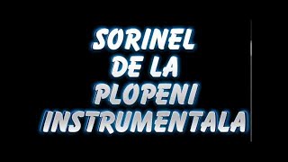 SORINEL DE LA PLOPENI INSTRUMENTALA MANEA CRIMINALA SUPER DE DANS [upl. by Aretahs]