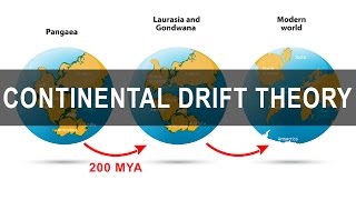 Continental Drift Theory  Alfred Wegener  Pangea  Gondwanaland [upl. by Sloane]