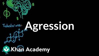 Aggression  Individuals and Society  MCAT  Khan Academy [upl. by Lesser]