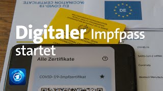 Digitales Impfzertifikat für CoronaImpfungen gestartet [upl. by Aym]