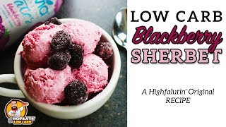 Low Carb BLACKBERRY SHERBET  Easy Keto Blackberry Sorbet  Zevia SugarFree Dessert Recipe [upl. by Marston]