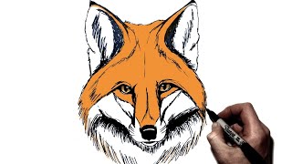 How To Draw a Fox  Step by Step [upl. by Aiyn984]