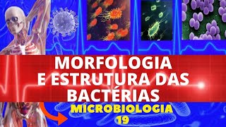 MORFOLOGIA E ESTRUTURA DAS BACTÉRIAS  COLORAÇÃO DE GRAM  MICROBIOLOGIA [upl. by Garmaise]