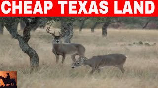 7 Places In Texas To Buy Cheap Land [upl. by Gavin]