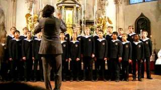 Vienna Boys Choir  Stille Nacht Silent Night [upl. by Fineman]