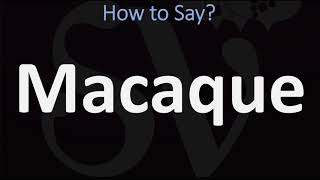 How to Pronounce Macaque CORRECTLY [upl. by Seidule67]