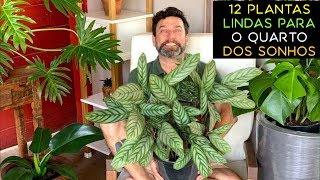 12 Plantas Lindas Para o Quarto dos Sonhos [upl. by Viscardi534]