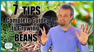 7 TIPS for Growing Beans  Complete Growing Guide [upl. by Aylat]