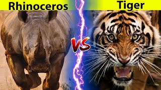 Siberian Tiger vs Rhinoceros  Who is Stronger [upl. by Emelin]