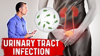 Urinary Tract Infection  Overview signs and symptoms pathophysiology causes and treatment [upl. by Ytsim]