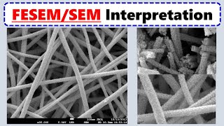 How to Interpret SEM Images [upl. by Wandie957]