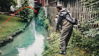 Große Fische stehen an verborgenen Stellen  Angeln in Minigewässern [upl. by Nagaem]