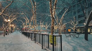 Seattle 6AM Morning Snow Walk Downtown to Space Needle [upl. by Shelli175]