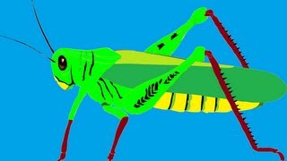 Sonido del saltamontes  Sound of the Grasshopper [upl. by Koosis]