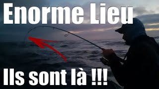 Comment pêcher les gros LIEUS de OUESSANT  Techniques Leurres Spots [upl. by Lancelot]