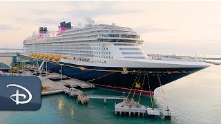 Introducing The Disney Wish  Disney Cruise Line [upl. by Wiskind]