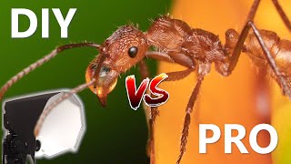 PRO Flash Diffuser VS DIY Flash Diffuser for Macro Photography [upl. by Basilius]