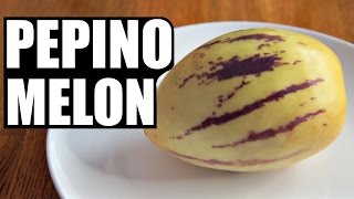 PEPINO MELON  Fruity Fruits Taste Test [upl. by Traci820]