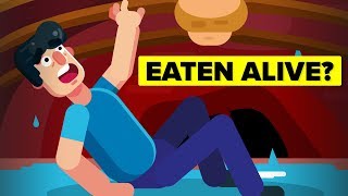 Horrific Ways People Have Been Eaten Alive [upl. by Nirrep342]