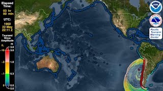 Tsunami Forecast Model Animation Chile 1960 [upl. by Liggitt]