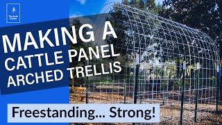 How to Build a Strong Cattle Panel Arch Trellis [upl. by Yager]