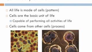 Biology 1 Lecture 1 Biology and the Tree of Life [upl. by Josh]