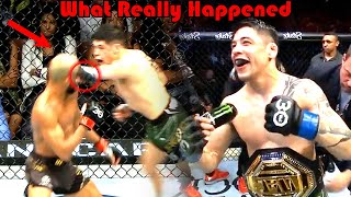 IMPRESSIVE What Really Happened Deiveson Figueiredo vs Brandon Moreno 4 [upl. by Iphagenia799]