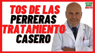 🔴 Tos de las PERRERAS Tratamiento CASERO 🔴 Remedios Caseros y Naturales para la Tos en Perros [upl. by Oakie474]