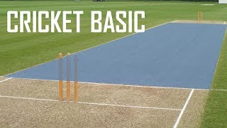 Cricket Basic Parameters  Cricket Fielding Positions  Batting Shots in Cricket [upl. by Hirschfeld539]