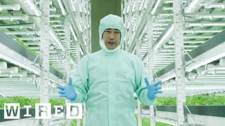 Tokyo’s Vertical Farms  The Future of Farming  WIRED [upl. by Leaw]