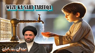 Shia Wazu Karne Ka Sahi Tarika  Practically Method  Maulana Ali Raza [upl. by Petua682]