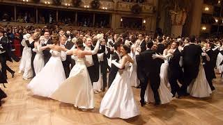 Wiener Opernball 2018 Balleröffnungswalzer [upl. by Mossman]