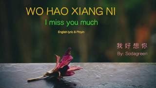 Wo Hao Xiang Ni lyric I Miss You Much  Pinyin amp English  Learn Chinese by songs [upl. by Rovit]