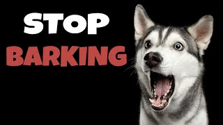 High Pitched Dog Whistle Sound To Stop Dogs Barking [upl. by Tina]