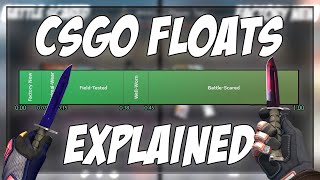 HOW CSGO SKIN FLOAT VALUES WORK [upl. by Saretta689]